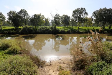 Tel Aviv'de Yarkon Nehri boyunca şehir parkı. 