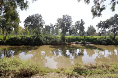 Tel Aviv'de Yarkon Nehri boyunca şehir parkı. 