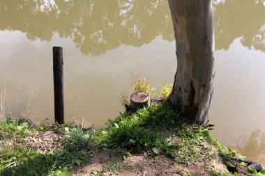 Tel Aviv'de Yarkon Nehri boyunca şehir parkı. 
