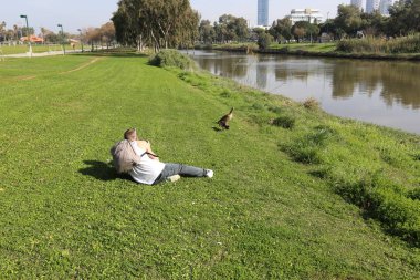 Tel Aviv'de Yarkon Nehri boyunca şehir parkı. 