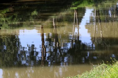 Tel Aviv'de Yarkon Nehri boyunca şehir parkı. 