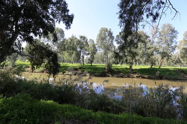 Parque Cidade Tel Aviv Longo Das Margens Rio Yarkon — Fotografia de Stock