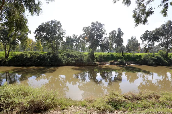 City Park Tel Aviv Längs Stranden Floden Yarkon — Stockfoto