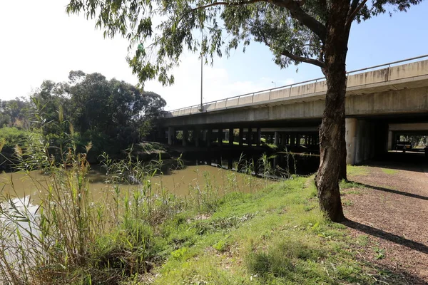 Parque Ciudad Tel Aviv Orillas Del Río Yarkon — Foto de Stock