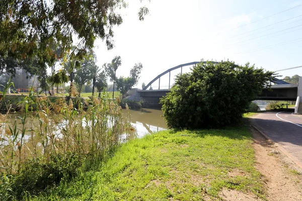 City Park Tel Aviv Long Des Rives Rivière Yarkon — Photo