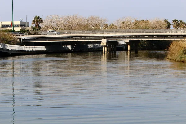 Tel Aviv'de Yarkon Nehri boyunca şehir parkı. 