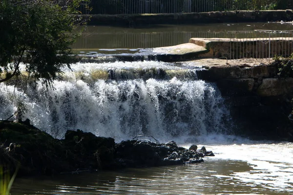 Stadtpark Tel Aviv Ufer Des Yarkon — Stockfoto