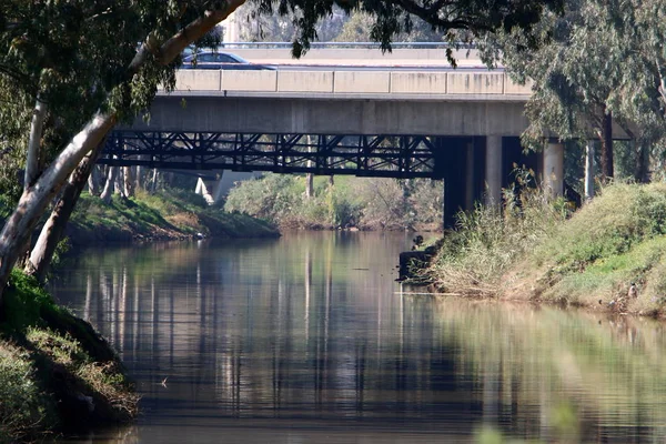 Stadtpark Tel Aviv Ufer Des Yarkon — Stockfoto