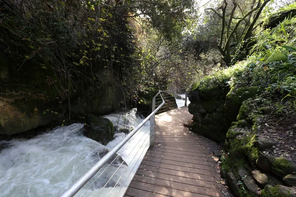 Puente Una Estructura Artificial Erigida Sobre Obstáculo — Foto de Stock