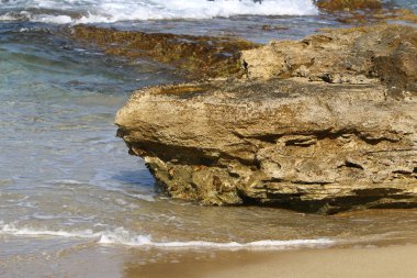taş doku - katı madde yapısı ve konumu, parçalarının niteliği. 