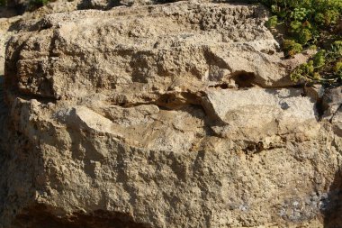 taş doku - katı madde yapısı ve konumu, parçalarının niteliği. 