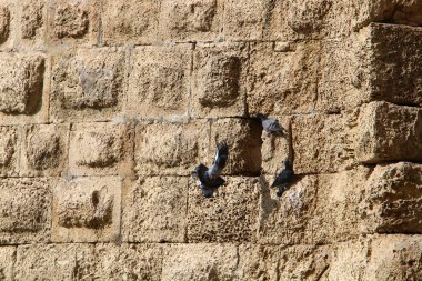 taş doku - katı madde yapısı ve konumu, parçalarının niteliği. 