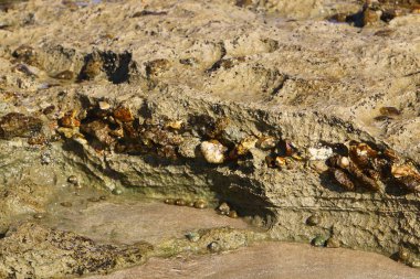 taş doku - katı madde yapısı ve konumu, parçalarının niteliği. 