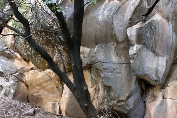 Textura Piedra Naturaleza Estructura Una Sustancia Sólida Ubicación Sus Partes —  Fotos de Stock
