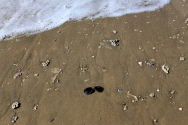 su renk ve sığ suda offshore yansımalar 