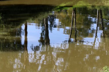 su renk ve sığ suda offshore yansımalar 