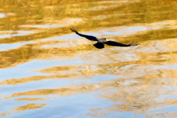 Water Color Reflections Offshore Shallow Water — Stock Photo, Image