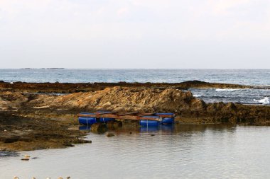 Varil - taşıma ve sıvı maddelerin depolamak için tasarlanmış bir silindirik kap. 