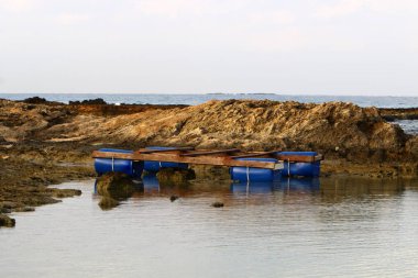 Varil - taşıma ve sıvı maddelerin depolamak için tasarlanmış bir silindirik kap. 