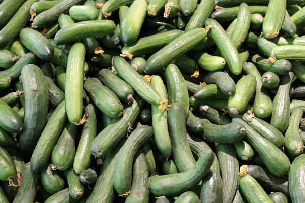 Verse Groenten Fruit Worden Verkocht Markt — Stockfoto