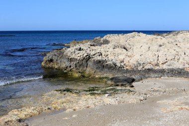 İsrail devleti topraklarının Akdeniz'de Sahili 