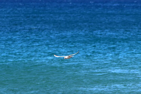 Couleur Eau Mer Méditerranée — Photo