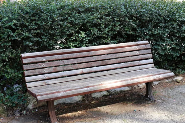 以色列一个开放的城市公园里的长凳 — 图库照片