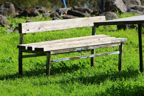 Eine Bank Steht Einem Offenen Stadtpark Berlin — Stockfoto