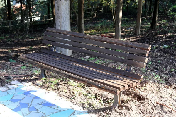 Bench Stands Open City Park Israel — Stock Photo, Image