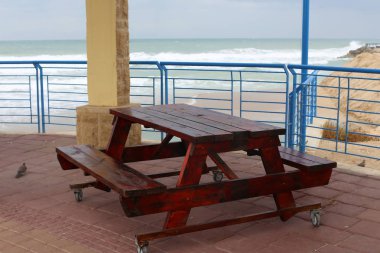 bir tezgah bir açık Şehir Parkı İsrail Akdeniz kıyısında duruyor 