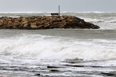 bir tezgah bir açık Şehir Parkı İsrail Akdeniz kıyısında duruyor 
