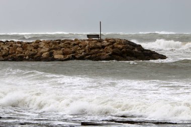 bir tezgah bir açık Şehir Parkı İsrail Akdeniz kıyısında duruyor 