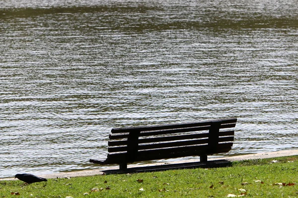 Een Bankje Staat Een Open Stadspark Aan Oever Van Middellandse — Stockfoto