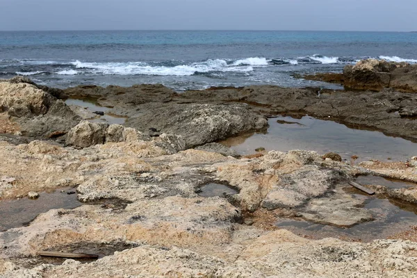 Rocas Piedras Las Orillas Del Mediterráneo Norte Israel — Foto de Stock