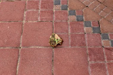 Kaldırım sokak şehir iki tarafında bulunan bir yaya geçit olduğunu. 