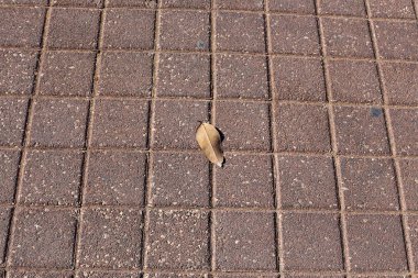 Kaldırım sokak şehir iki tarafında bulunan bir yaya geçit olduğunu. 