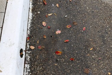 Kaldırım sokak şehir iki tarafında bulunan bir yaya geçit olduğunu. 