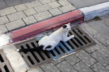 Kaldırım sokak şehir iki tarafında bulunan bir yaya geçit olduğunu. 
