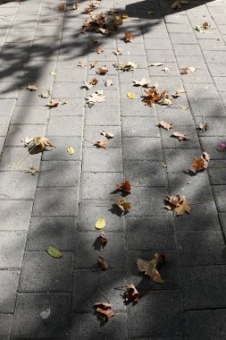 Kaldırım sokak şehir iki tarafında bulunan bir yaya geçit olduğunu. 