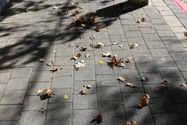 Kaldırım sokak şehir iki tarafında bulunan bir yaya geçit olduğunu. 