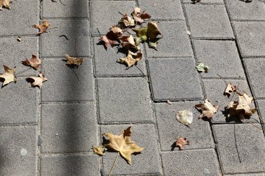 Kaldırım sokak şehir iki tarafında bulunan bir yaya geçit olduğunu. 