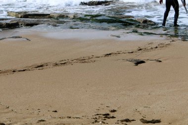 Kumdaki Akdeniz kıyısında 