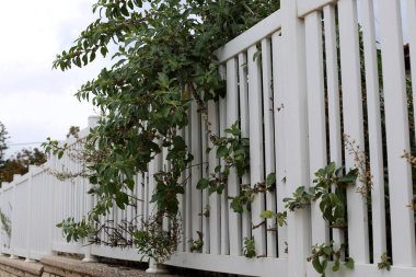 Bir çit bir yabancı topraklarda kenarlığını işaretlemek için kullanılan bir yapıdır. 