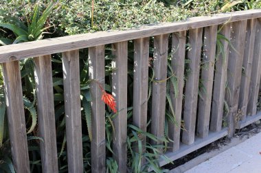 Bir çit bir yabancı topraklarda kenarlığını işaretlemek için kullanılan bir yapıdır. 