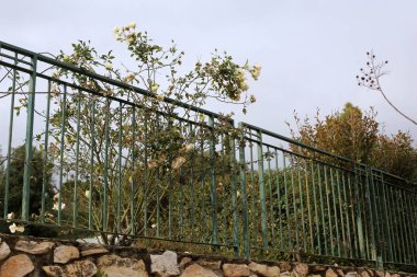 Bir çit bir yabancı topraklarda kenarlığını işaretlemek için kullanılan bir yapıdır. 