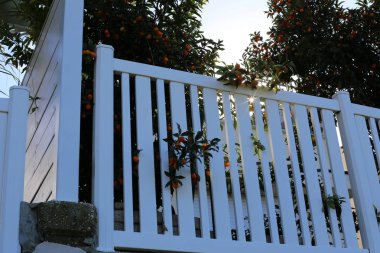 Bir çit bir yabancı topraklarda kenarlığını işaretlemek için kullanılan bir yapıdır. 