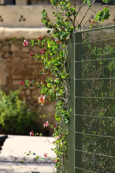 A fence is a structure used to mark the border of a foreign territory.