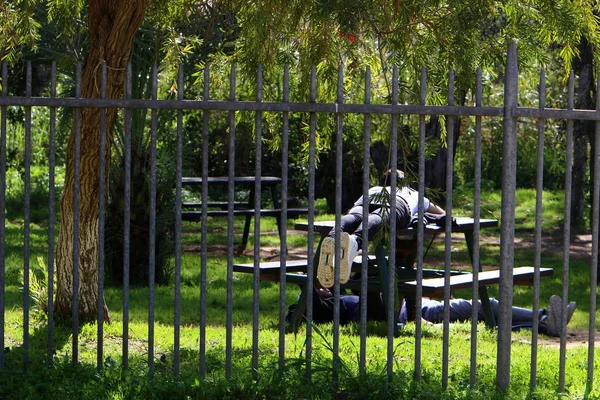 A fence is a structure used to mark the border of a foreign territory.