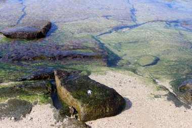 su renk ve Akdeniz kıyıları kapalı yansımalar 