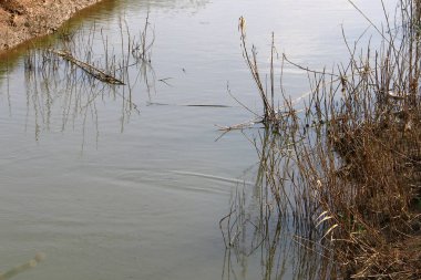 su renk ve Akdeniz kıyıları kapalı yansımalar 